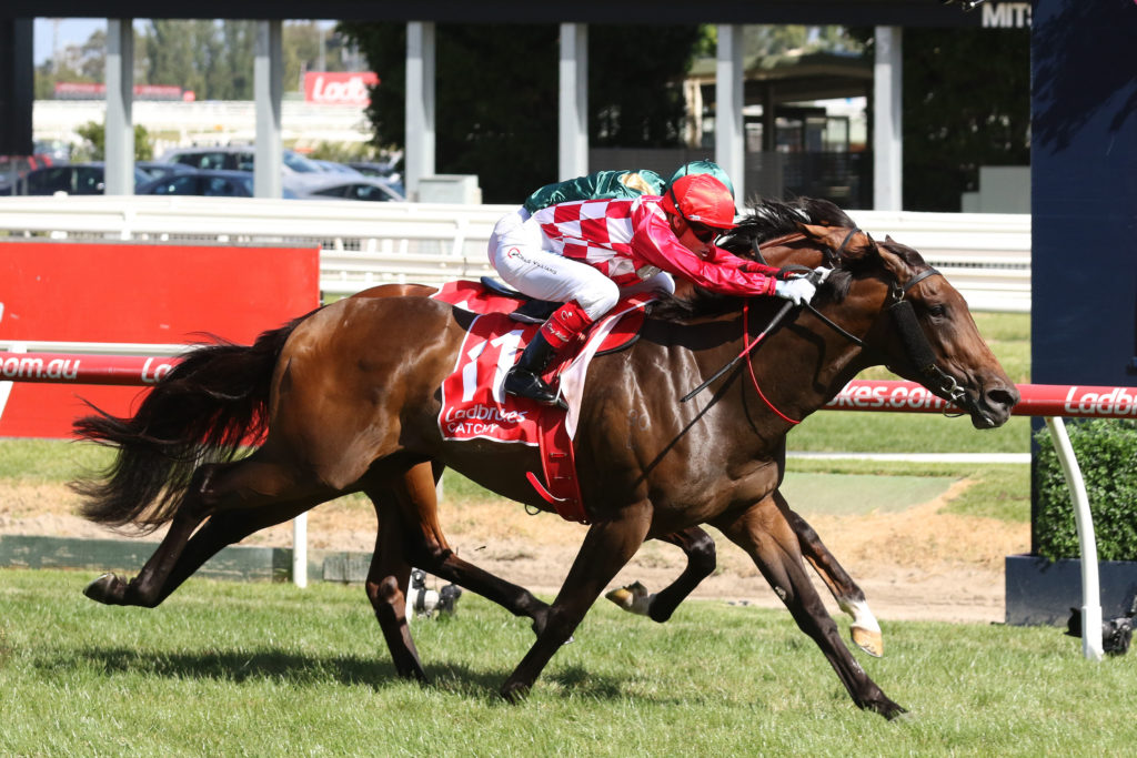 Catchy,Ladbrokes Blue Diamond Stakes,Group 1_25-02-2017_WIN_Caulfield_7__1540 | Just Horse Racing