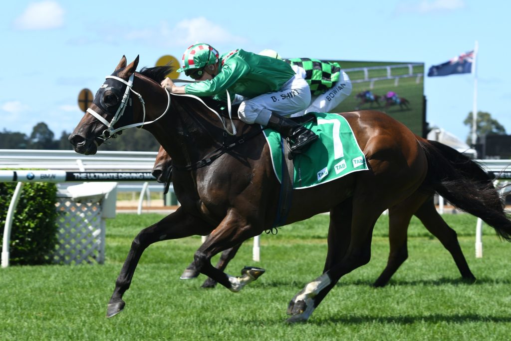 Cauthen's Power 070117 6122 | Just Horse Racing