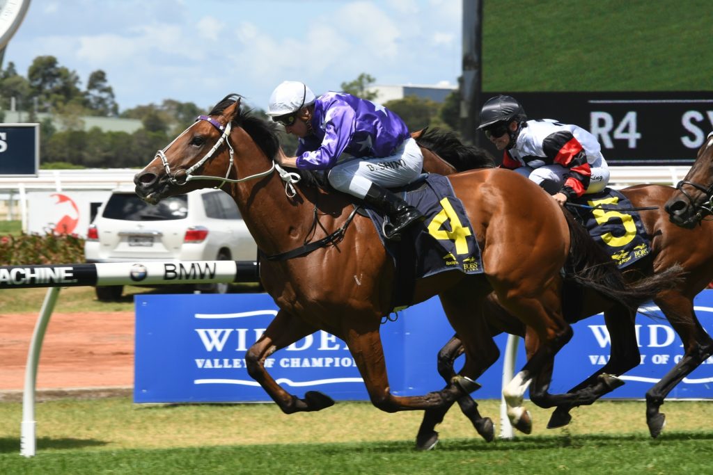 Cellarman 030218 2893 | Just Horse Racing