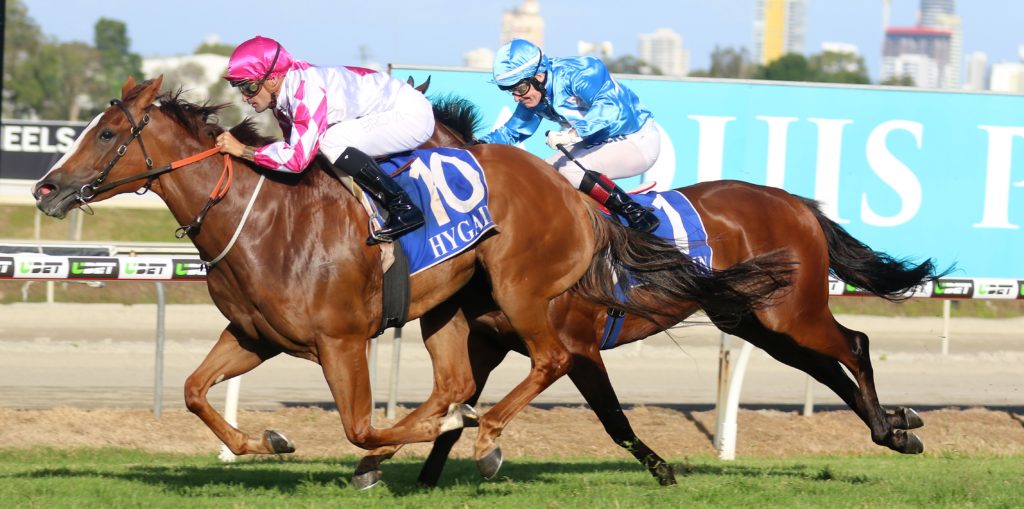 Champagne Cuddles (1) | Just Horse Racing