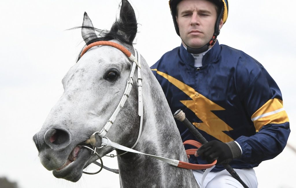 Chautauqua | Just Horse Racing