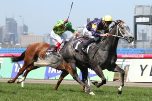 Chautauqua, Gilgai Stakes