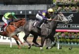 Chautauqua