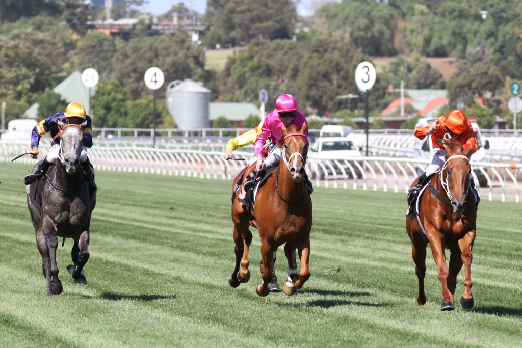 Chautauqua,Lightning Stakes,Group 1_20-02-2016_WIN_Flemington_7__799 | Just Horse Racing