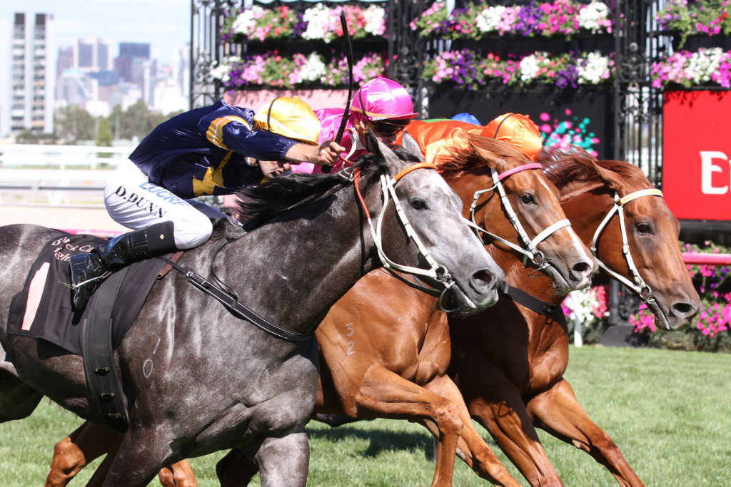 Chautauqua,Lightning Stakes,Group 1_20-02-2016_WIN_Flemington_7__807 | Just Horse Racing