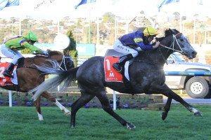 Chautauqua, McEwen Stakes