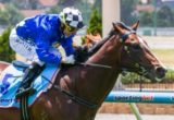 Chivalry winning the Quest Moonee Valley Plate at Moonee Valley ridden by Stephen Baster and trained by Mark Kavanagh - (photo by Steven Dowden/Race Horse Photos Australia)