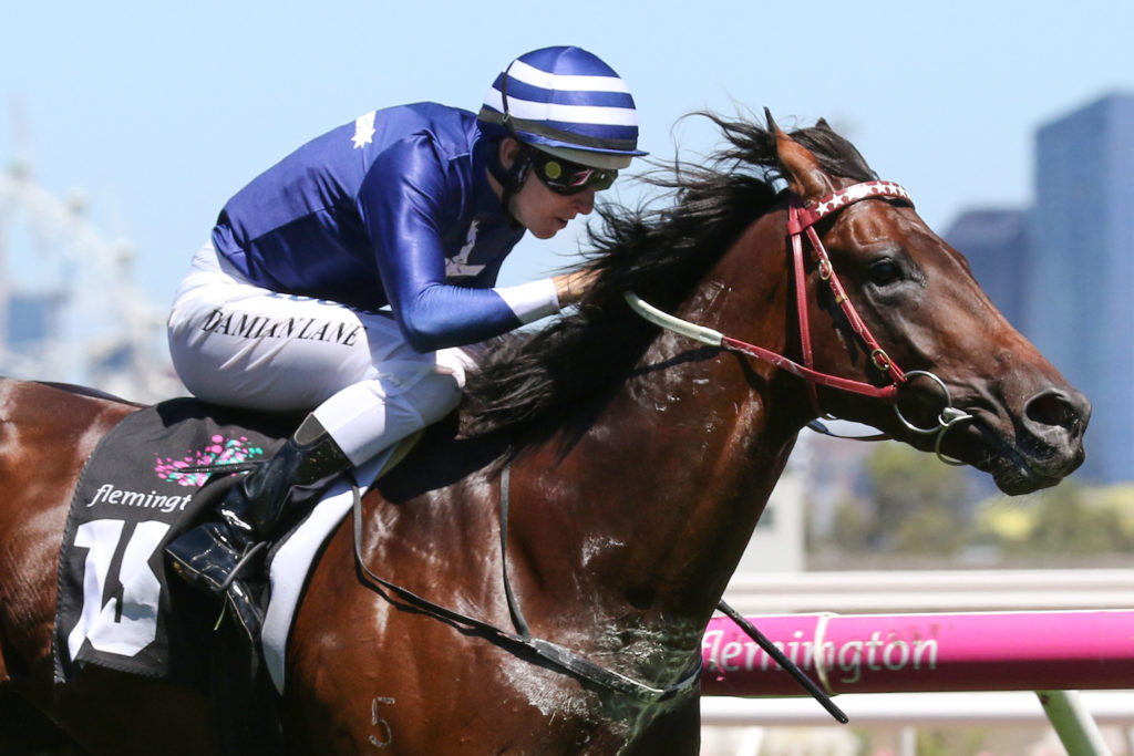 Civil Disobedience_01-01-2018_WIN_Flemington_4__757 | Just Horse Racing