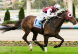 Clang And Bang winning the Chandler Macleod 0 - 90 Handicap at Moonee Valley - photo by Race Horse Photos Australia