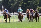 Claro El Blanco - Magic Millions Clockwise Classic