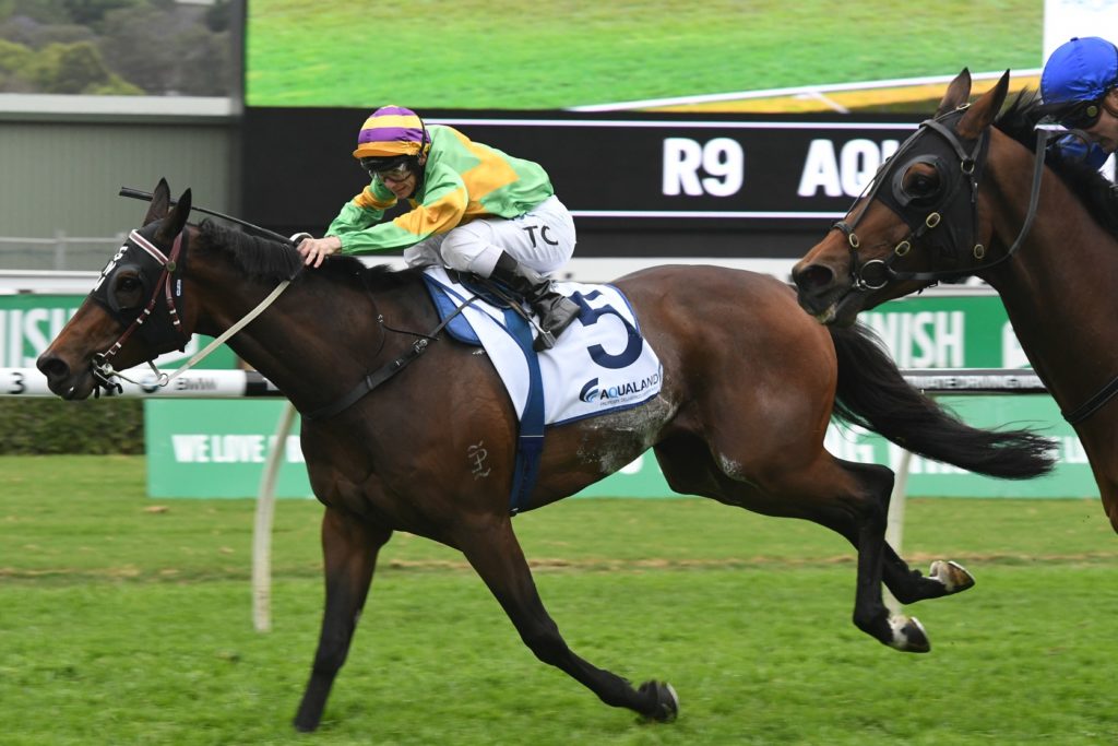 Classic Uniform 141017 3006 | Just Horse Racing