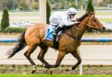 Clevadude winning the Race 1 at Moonee Valley - photo by Race Horse Photos Australia