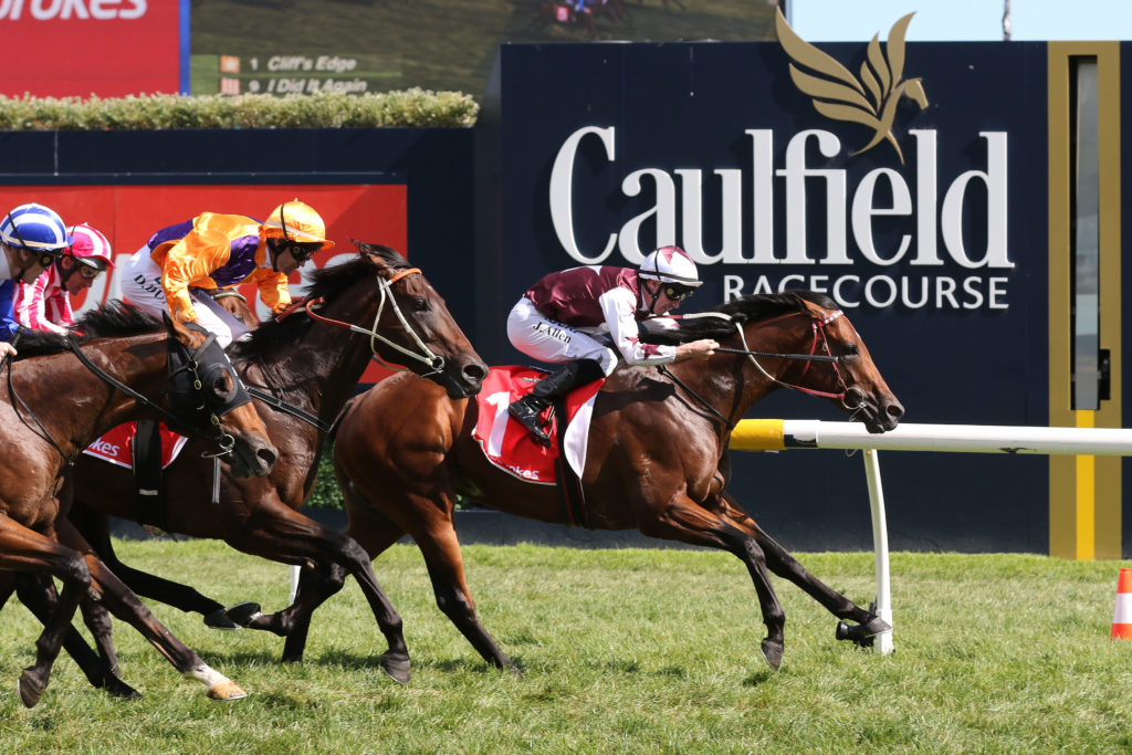 Cliff's Edge,Manfred Stakes,Group 3_03-02-2018_WIN_Caulfield_8__1744 | Just Horse Racing