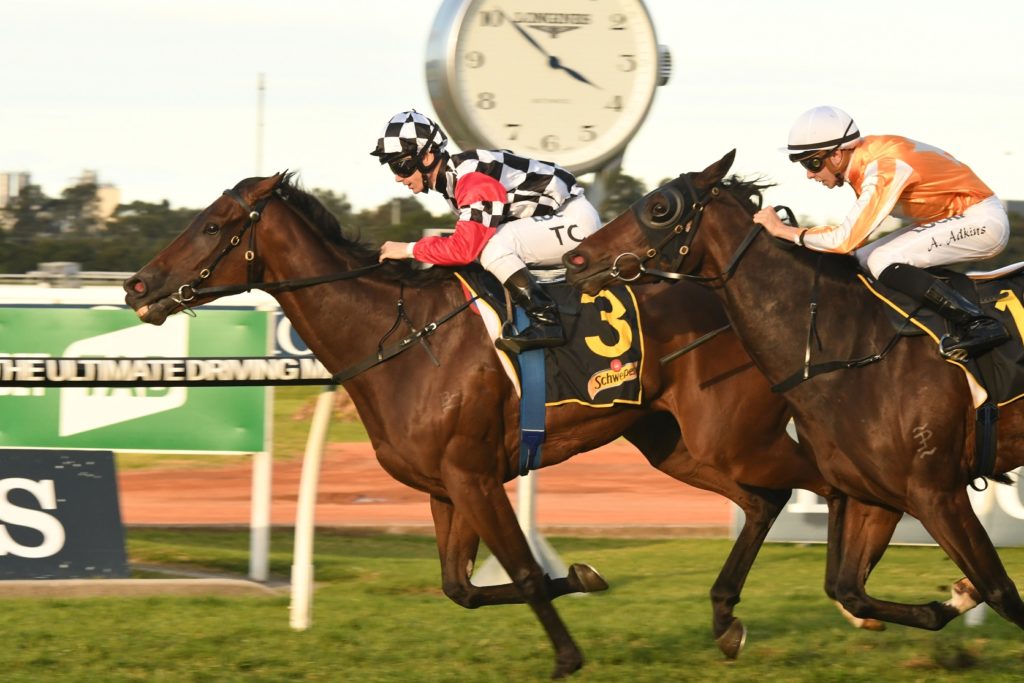 Collateral 150717 9403 | Just Horse Racing