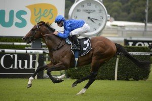 Contributer | Just Horse Racing Contributer