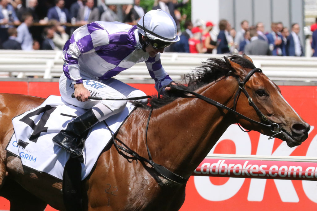 Cool Passion,Cape Grim Beef Steaks,Group 3_14-10-2017_WIN_Caulfield_3__668 | Just Horse Racing