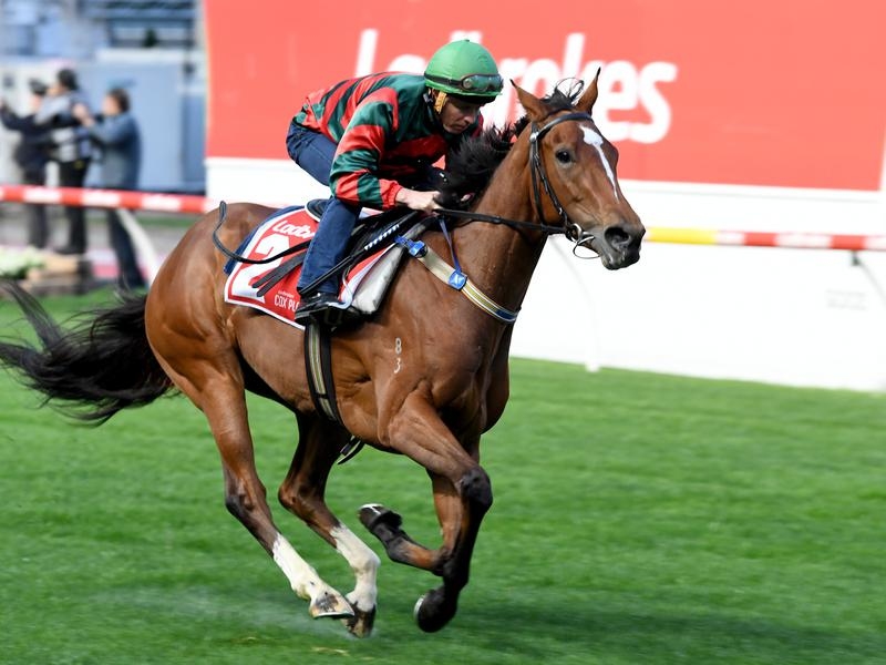 Coolmore Classic Egg Tart | Just Horse Racing