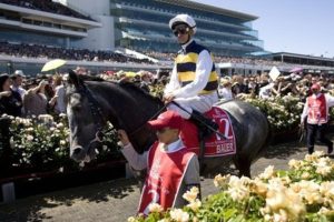 Corey Brown, seen here aboard Bauer, will ride Shoot Out in Saturday's Cox Plate - sportpix.com.au