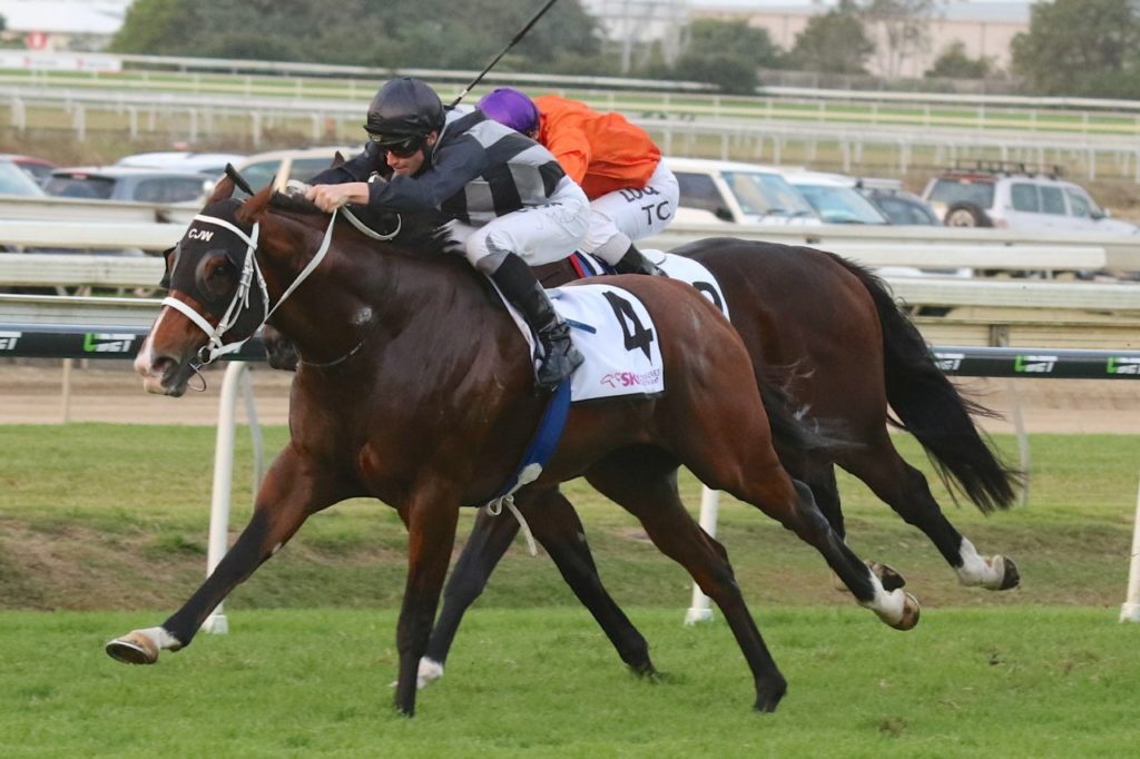Counterattack | Just Horse Racing Counterattack