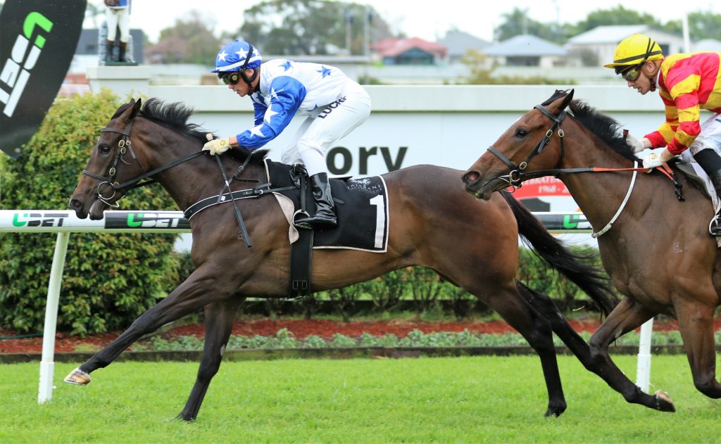 Courseshewill (2) | Just Horse Racing