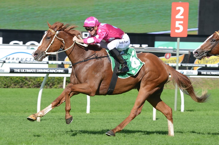 Coys 220515 4361 | Just Horse Racing