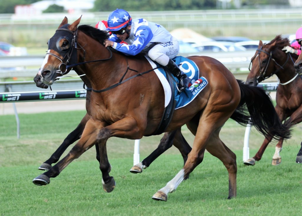 Crack Me Up (4) | Just Horse Racing