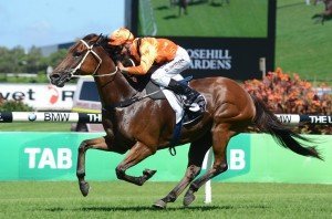 Craftiness | Just Horse Racing Craftiness