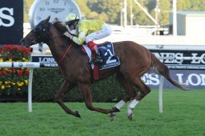 Criterion | Just Horse Racing Criterion
