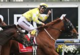 Criterion, Caulfield Stakes