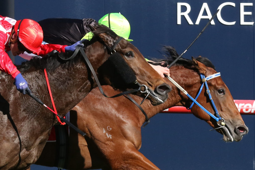 Crown Witness,Quezette Stakes,Group 3_19-08-2017_WIN_Caulfield_5__570 | Just Horse Racing