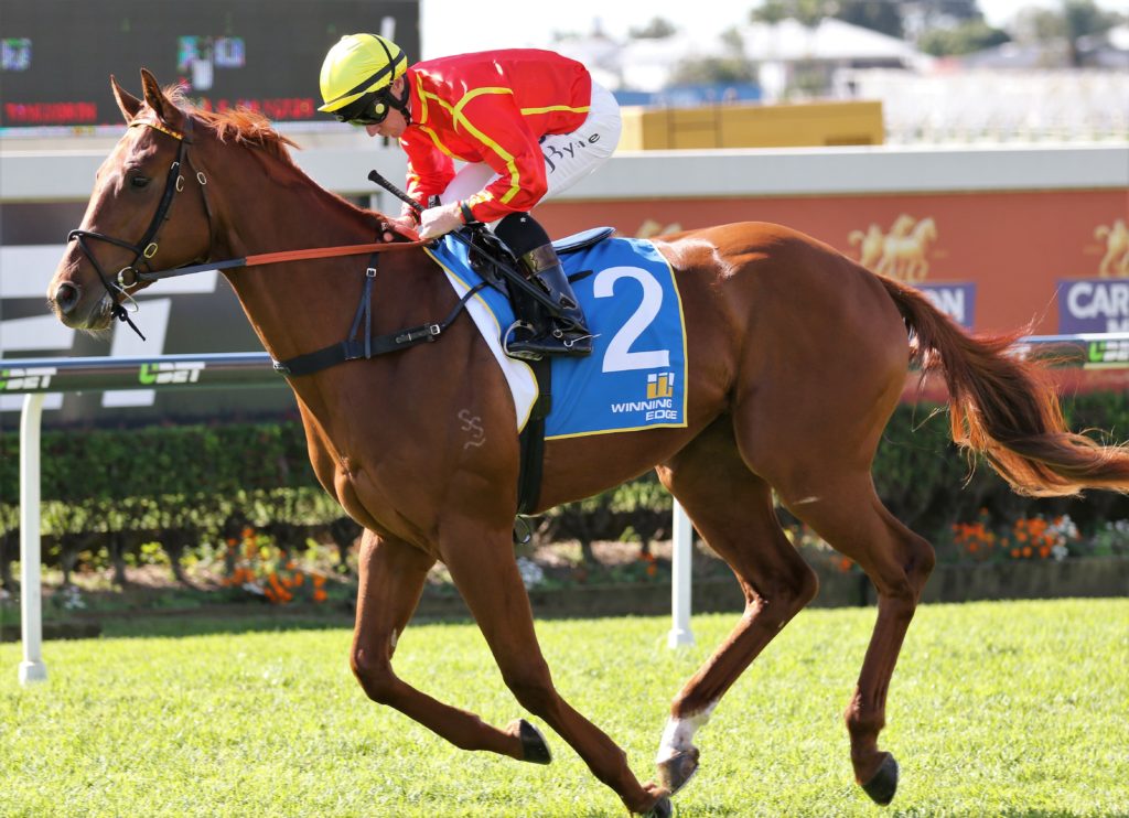 Curdled Jim Byrne | Just Horse Racing