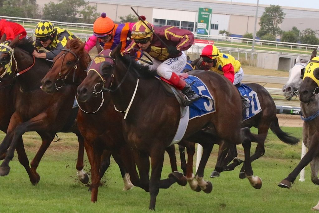 Cylinder Beach | Just Horse Racing Cylinder Beach