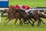 Dances On Stars (Brenton Avdulla, outside, red sleeves with white stars) wins the Carrington Stakes (Listed) at Randwick on January 1, 2014 - photo by Martin King / Sportpix