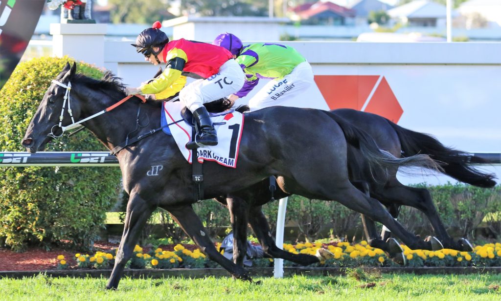 Dark Dream (2) | Just Horse Racing