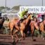 Darwin races | Just Horse Racing