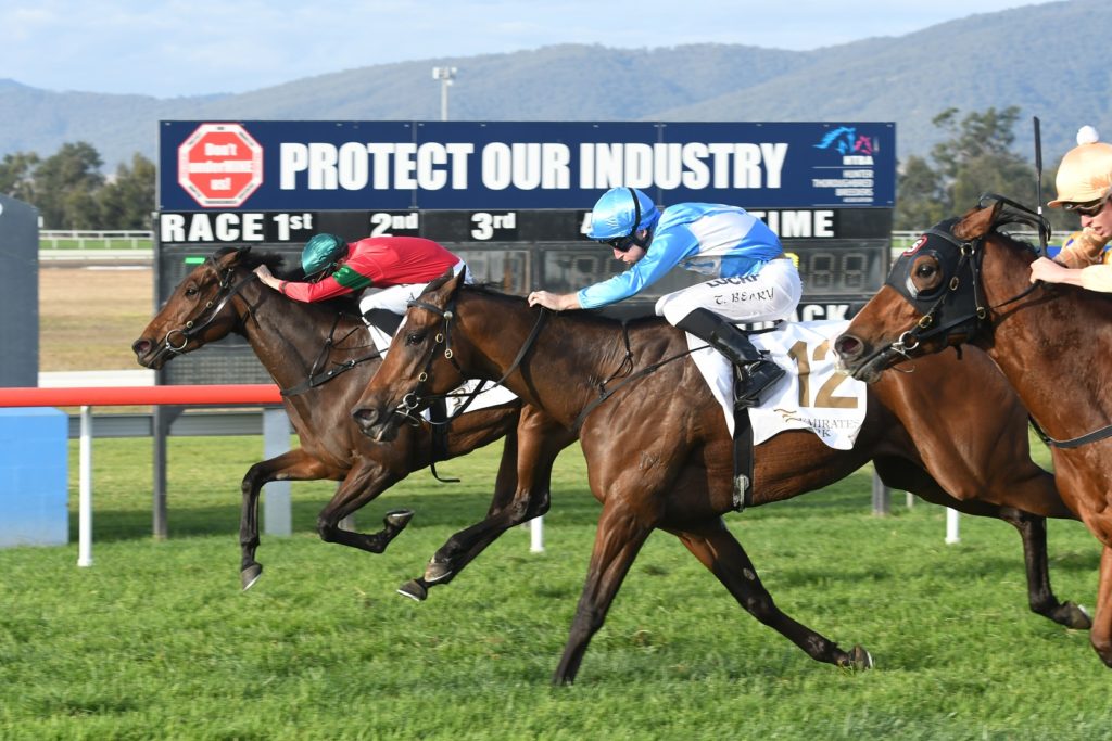 Daysee Doom 130517 6981 | Just Horse Racing