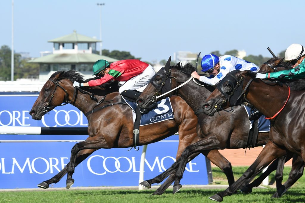 Daysee Doom 170318 2722 | Just Horse Racing