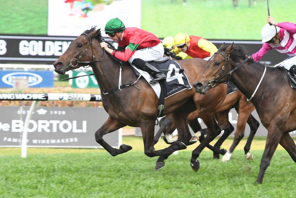 Daysee Doom 230917 9719 | Just Horse Racing