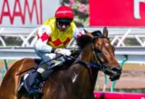 Decircles winning the ISIS Handicap at Flemington ridden by Glen Boss and trained by Danny O'Brien - (photo by Steven Dowden/Race Horse Photos Australia)