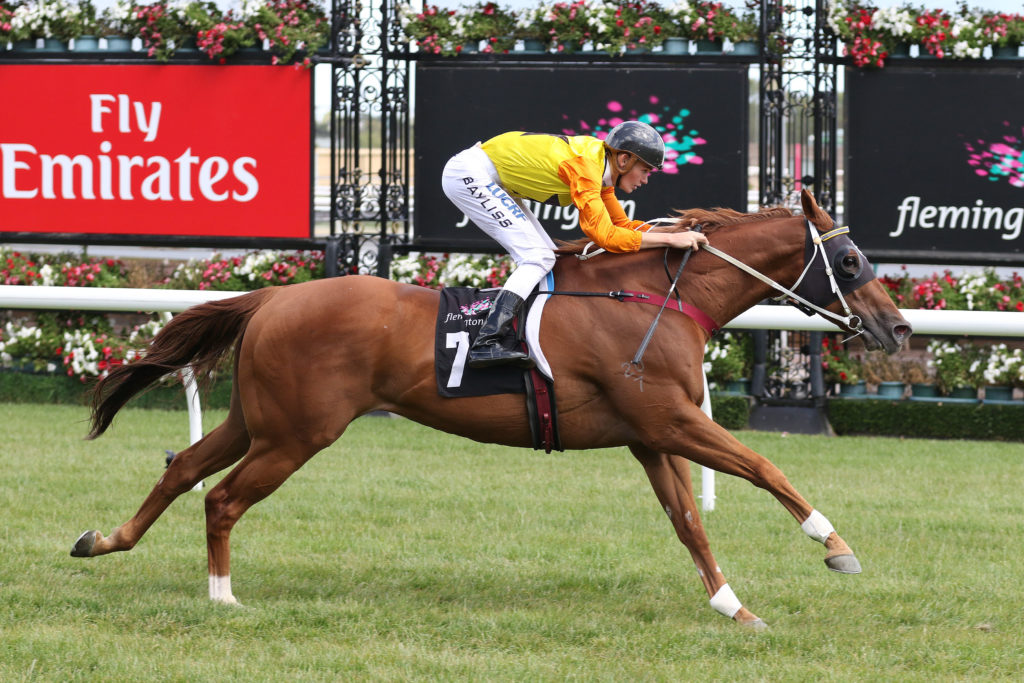 Decision Time_17-12-2016_WIN_Flemington_6__872 | Just Horse Racing
