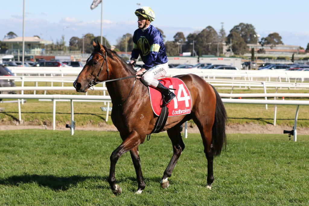 Declarationofheart_30-09-2018_GEN_Caulfield__132 | Just Horse Racing