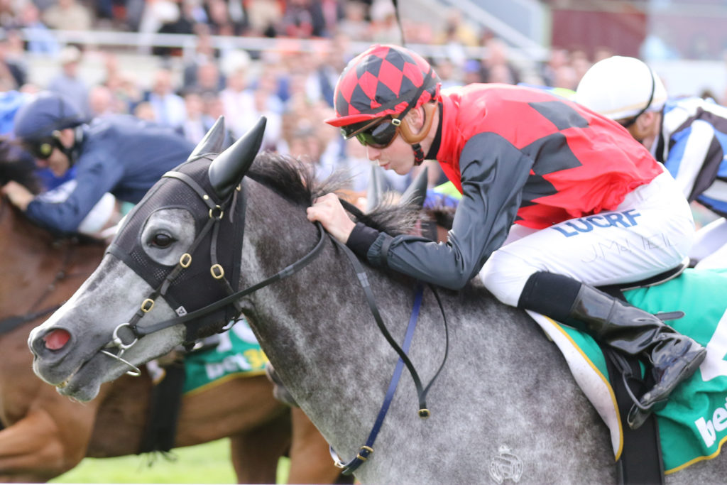 Deja Blue,Rosemont Stud Stakes,Listed_25-10-2017_WIN_Geelong_8__1123 | Just Horse Racing