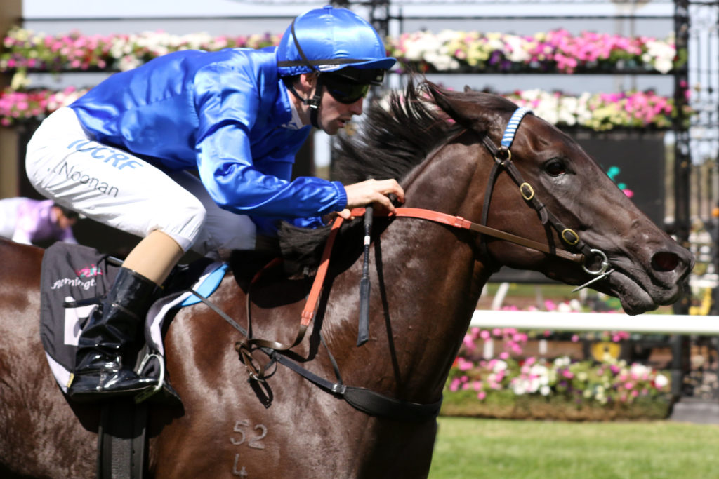 Demerara_17-03-2018_WIN_Flemington_3__571 | Just Horse Racing
