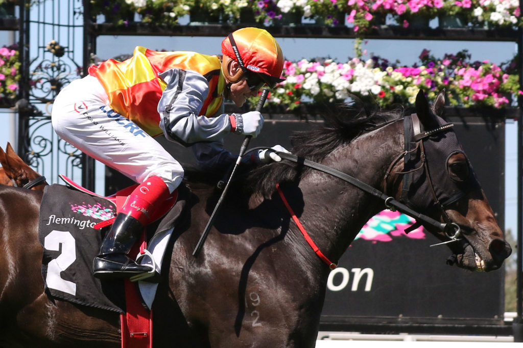 Demonstrate_10-03-2018_WIN_Flemington_1__712 | Just Horse Racing