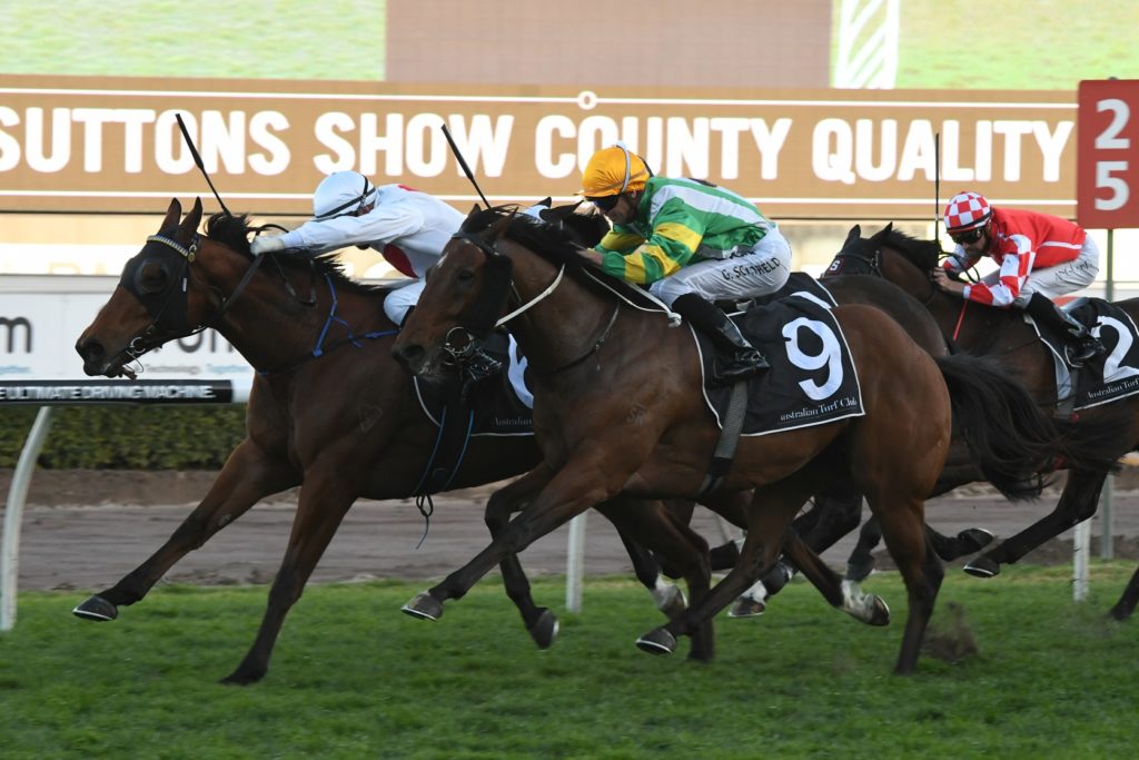 Deploy 190817 7624 | Just Horse Racing