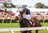 Tarzino - Rosehill Guineas 2016