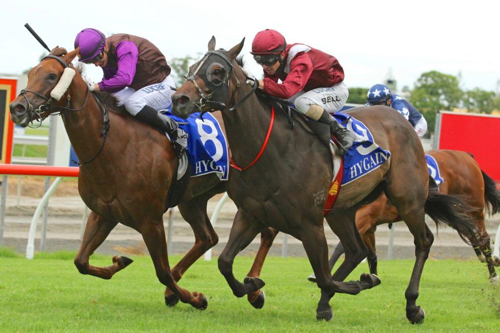 Diamond Fun - Ryan Wiggins | Just Horse Racing
