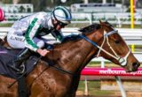 Dig A Pony winning the Rivette Series Final at Flemington ridden by Luke Nolen and trained by Peter Moody - (photo by Steven Dowden/Race Horse Photos Australia)