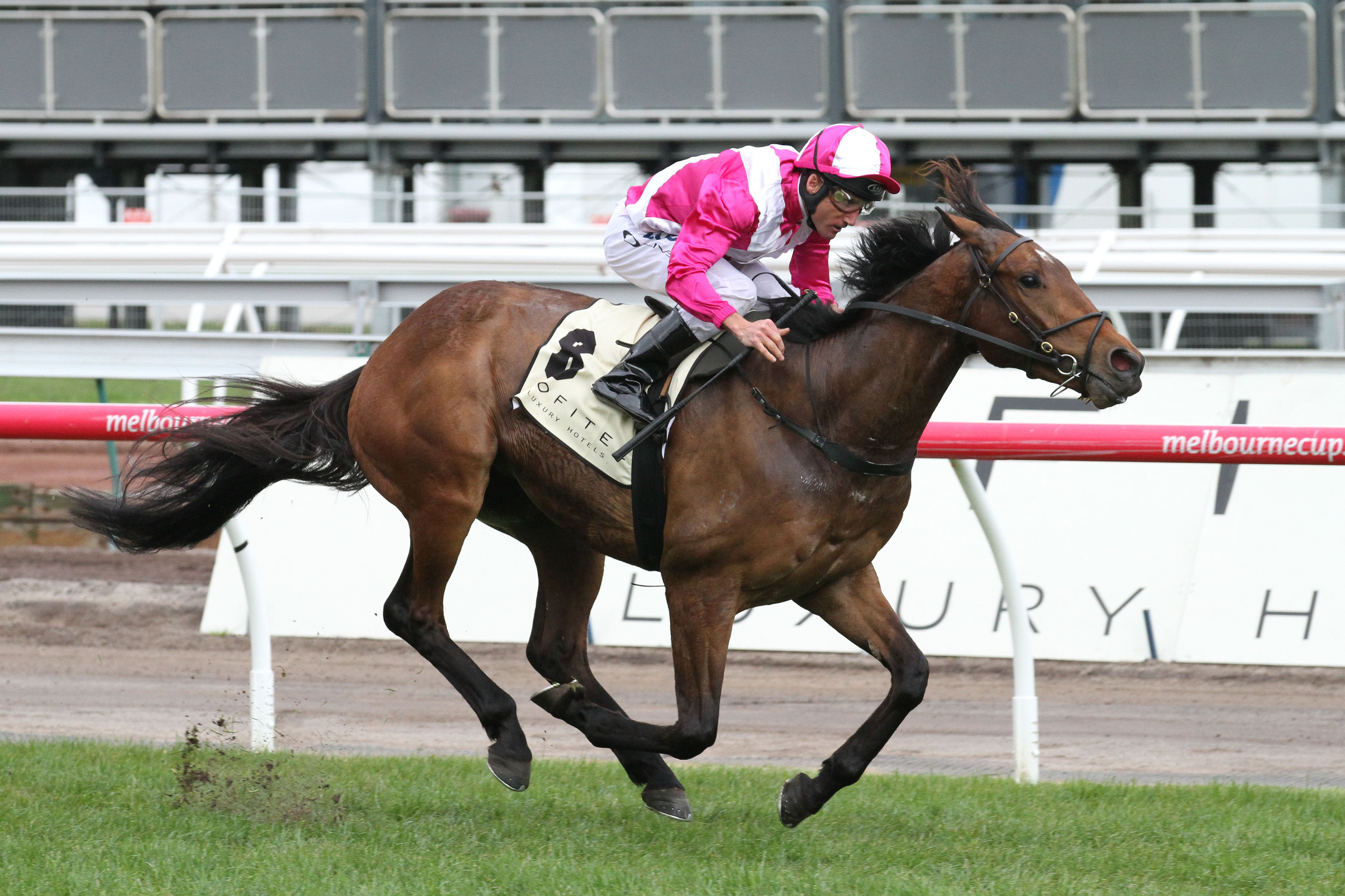 Disposition - Sir Rupert Clarke Stakes 2015