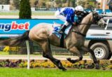 Divine Calling winning the F Vitale & Sons 3YO Handicap at Race Track - photo by Race Horse Photos Australia